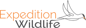 Expedition Wildlife Logo