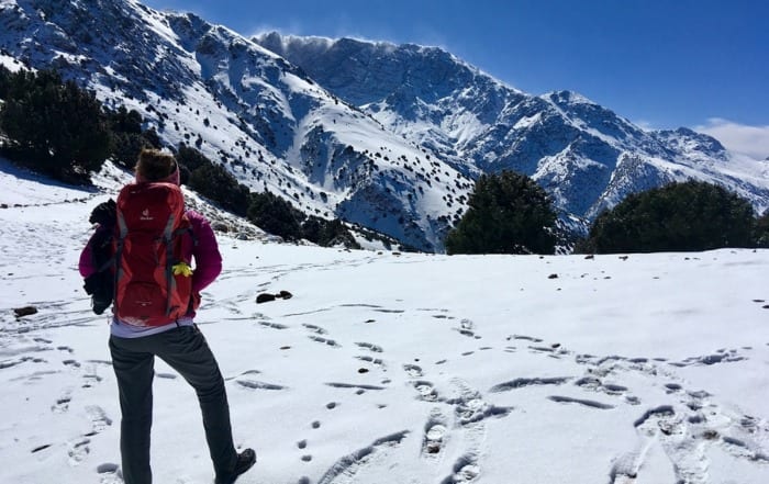 looking out toward the snowy atlas mountains in morocco