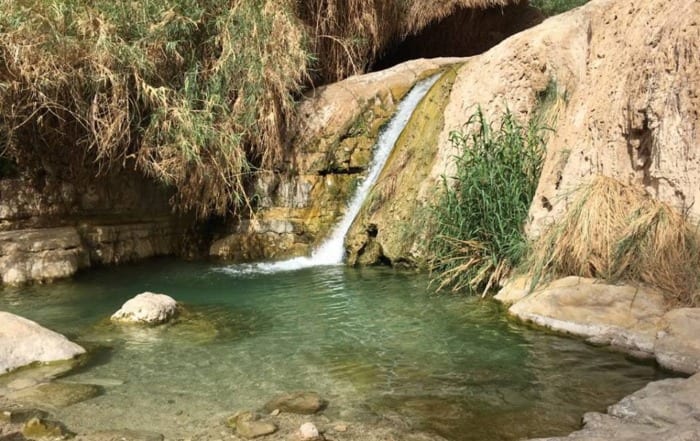 Waterfall in Ein Gedi