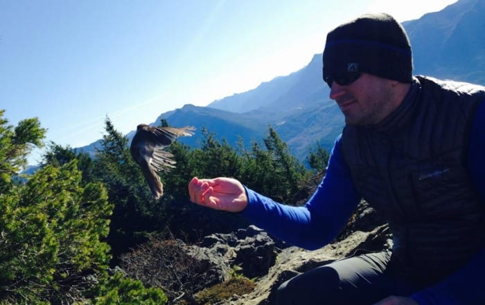 a gray jay flies from a man's hand