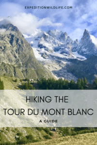 Hiking The Tour Du Mont Blanc: An Overview Guide - Expedition Wildlife